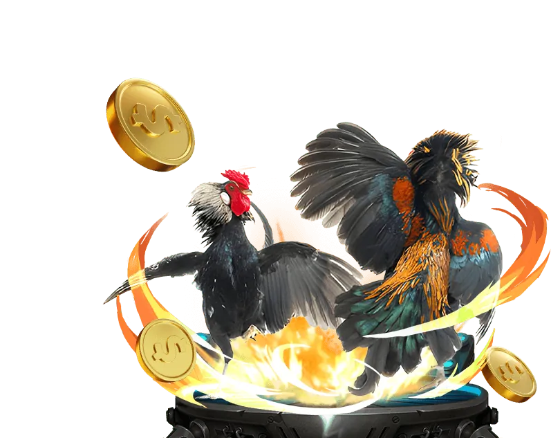 Cá cược thể thao fly88